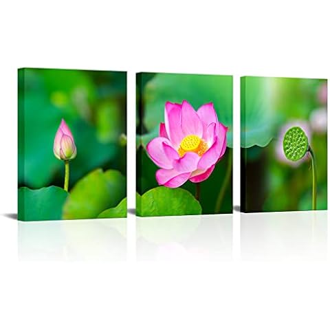 3 Panel Lotus Flower Canvas Wall Art Zen Blooming Floral Picture Painting Print for Bedroom Living Room Spa Decoration Lake Nature Landscape Artwork Framed 12x16inchx3pcs Cover