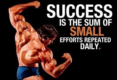 Arnold Schwarzenegger Success Quotes Poster Fine Art Print(13 inch X 19 inch)