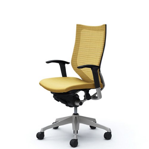 バロン (Baron) チェア 【ハイバック】 シルバ-フレーム 可動肘 座クッション ベージュ CP85DR FEF7