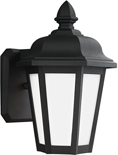 RASH シーガル Sea Gull Lighting Generation 89822-12 Transitional One Light