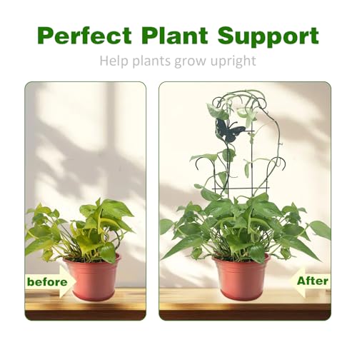 Image of 23 Inch Plant Trellis for Potted Plants, Sturdy Metal Houseplant Trellis for Climbing Plants Indoor Outdoor, Rust-Resistant Plant Support for Monstera Pothos Ivy, 4 Pack (4, 23inch)