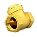 GASHER 1PC Swing Brass Check Valve DN80 3