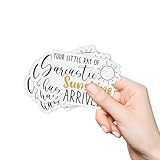 (3Pcs) Your Little Ray of Sarcastic Sunshine Has Arrived Sticker, Motivational Sticker, Water Assitant Die-Cut Vinyl Stickers Decals for Laptop, Phone, Water Bottles, Stickers for Women (2 Inches)