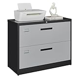 Letaya File Cabinet with Lock-Lateral 2 Drawer Metal Filing Cabinets-Organization Storage Cabinets for Home Office-Hanging Letter/Legal/F4/A4 Size (2 Drawer-Grey Black)