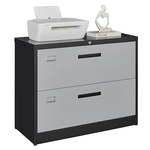 Image of Letaya File Cabinet with Lock-Lateral 2 Drawer Metal Filing Cabinets-Organization Storage Cabinets for Home Office-Hanging Letter /Legal /F4 /A4 Size (2 Drawer-Grey Black)