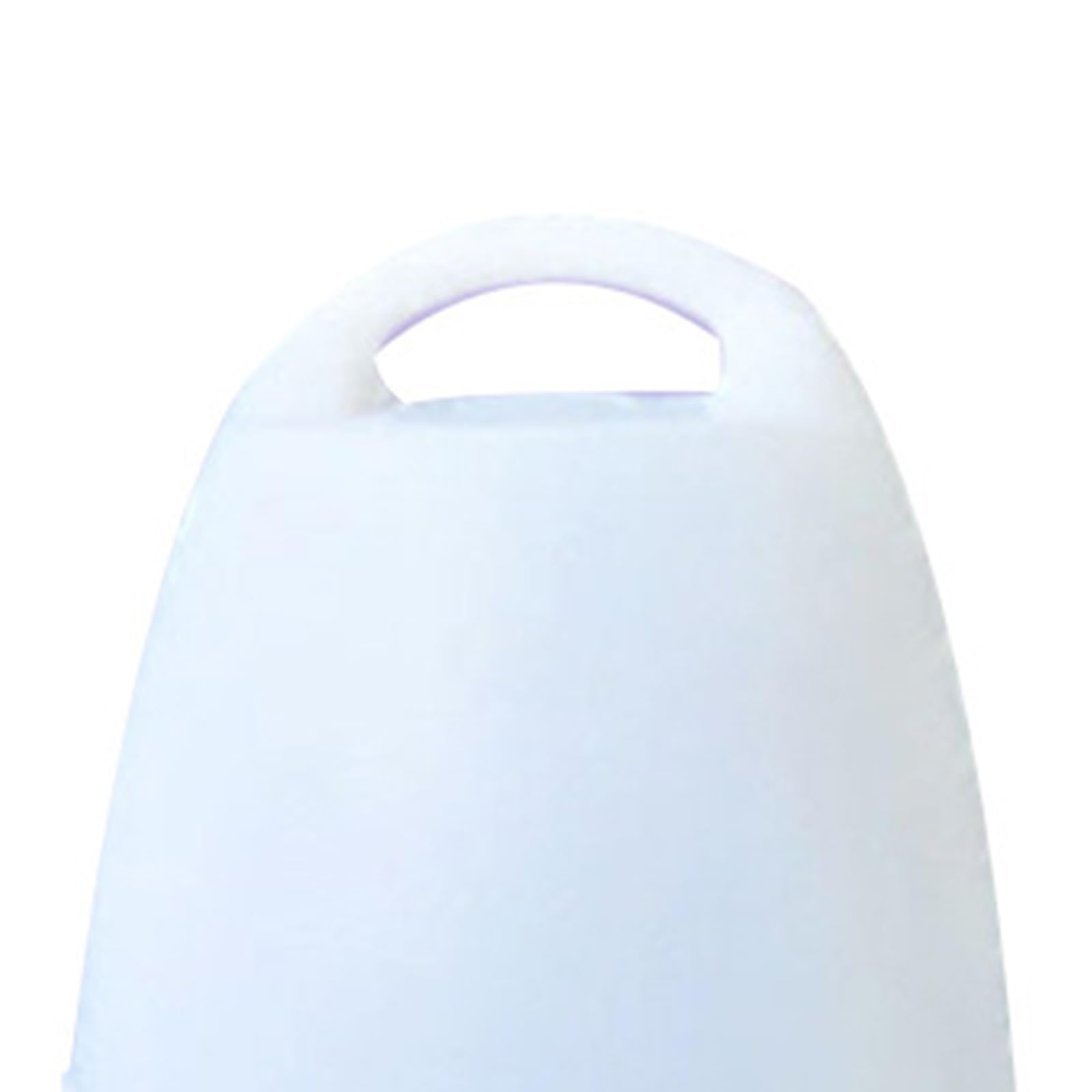 Dispensador automático de agua para pájaros de gran capacidad de 10 litros, para periquitos, palomas, loros, palomas con mango colgante, dispensador de agua
