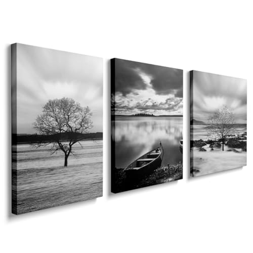 prinfantasy Canvas Wall Art Framed Landscape Pictures for Living Room and Bedroom Black and White Prints for Special Occasions Artwork Wall Decor for Bathroom Kitchen 12x16 Inch 3 Panels YH093