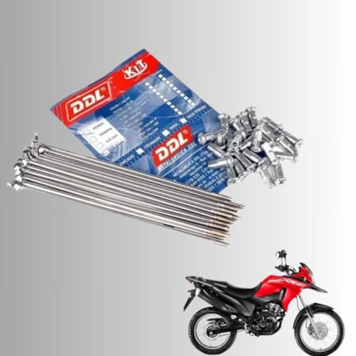 Jogo Raio Raiação Ddl 4m Cromado Dianteiro + Traseiro Xt660