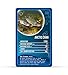 Freshwater Fish Top Trumps Card Game