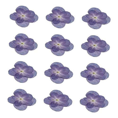 Nishiyuenyi 12 Stück Hortensien Trockenblumen, Getrocknete Hortensienblüten, Echte Gepresste Trockenblumen für Schönheitsfotografie, Handgemachte Seife, DIY Handw