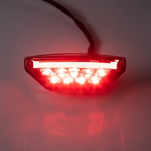 evomosa Motorrad Rücklicht LED rot Bremsleuchte hinten Kennzeichenleuchte Tagfahrlicht Universal für 12V Moto Scooter ATV Quad Bike Dreirad (grau)
