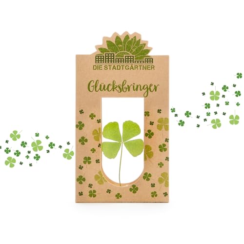 Preisvergleich Produktbild Die Stadtgärtner Glücksbringer I Echtes vierblättriges Kleeblatt zwischen Glasscheiben / Geschenk für Glück & als Mutmacher / Handgemacht in Deutschland