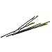Excalibur Firebolt Carbon Arrows 20 in.6pk 22CAV-6