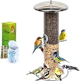 HEAVY DUTY stainless steel metal bird feeder, easy clean garden bird seed feeders hanging, bird feeders for small birds, bird feeders hanging for wild bird, hanging bird feeder for backyard BY PROVIDE