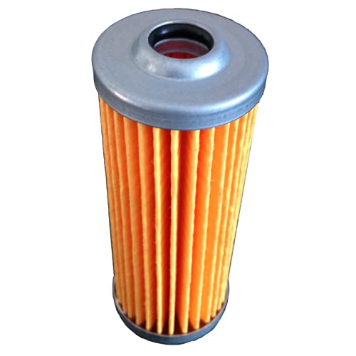 Filtre à Gasoil bi-Cylindre - Yanmar (Voiture sans Permis) Cover