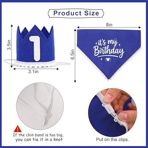 Set corona y pañuelo azul para perro miniatura 2