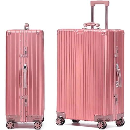 [CaelumGrid] [ӂԂ] X[cP[X @ I[A~ L[P[X TSAbN 360x]É_uLX^[ y e ϏՌ COs/op STCY(1`3/35L) Vo[ (F,20)