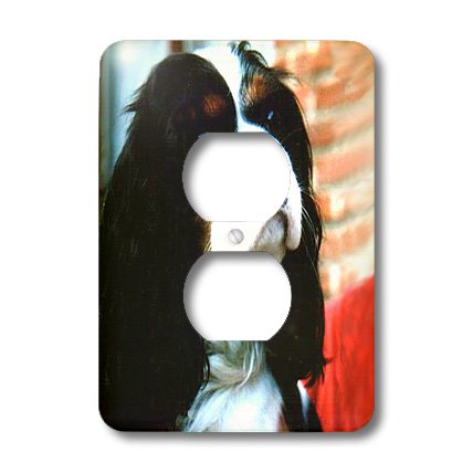 Cavalier King Charles épagneuls coque prise double finition brillante - 3