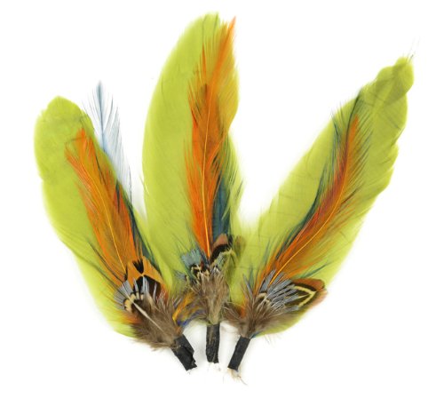 Touch of Nature 38712 Feather Pick, 3-1/2-Inch, Blue/Sienna/Olive