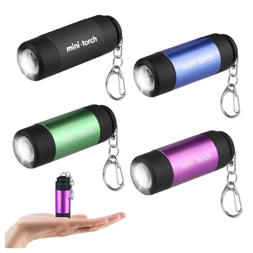 4 Stück Mini LED Taschenlampe,Kindertaschenlampen,Kleine LED Taschenlampe Schlüsselanhänger,Taschenlampe USB Aufladbar,Taschenlampe Klein,für Klettern,Camping,Outdoor,Geschenke zum Kindergeburtstag