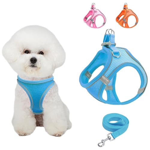 Gilet respirant pour chien avec laisse - Réglable - Réfléchissant - Doux - Rembourré - Maille respirante - Harnais de poitrine pour chiens de petite, moyenne taille et chiots - Bleu - Taille S