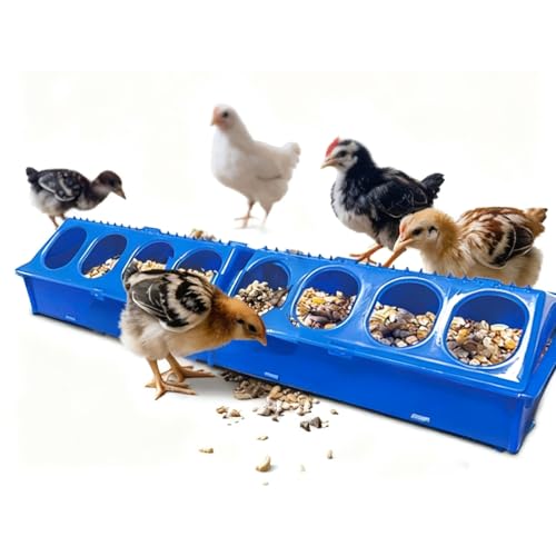 WQY Groceryshop 16IN ABS Detachable