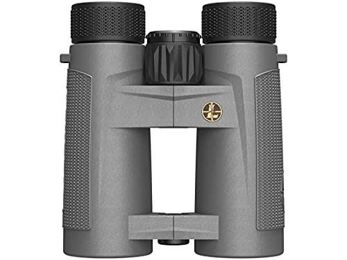 Leupold Bx-4 Pro Guide Hd 10X42Mm Binocular, Shadow Gray (172666) #TOP21