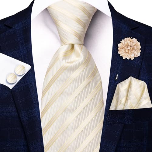 Image of Hi-Tie Mens Paisley Floral Striped Ties Set Silk Necktie and Lapel Pin for Men Pocket Square Cufflinks Set Business Wedding