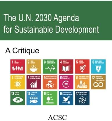 The U.N. 2030 Agenda for Sustainable Development: A Critique