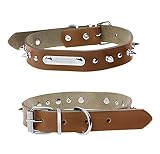 AfinderDE Personalisierte Hundehalsband mit Namensschild Halsband Hundemake aus Leder Bedruckt mit Namen und Telefonnummer für kleine mittelgroße und große Hunde