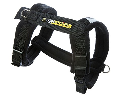 Urban Trail Padded Adjustable Dog Harness (Small, Black)