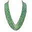 Parrot Green
