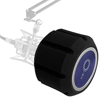 Pop Filter for Microphone Portable Sound Isolation Shield Foam Reflection Filte,Mic Windscreen Acoustic Pop Foam Balls for Vocal Studio Booth,Live,Music Recording Equipment