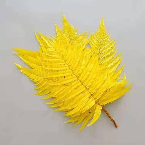 10 piezas flores secas naturales para decoración miniatura 4