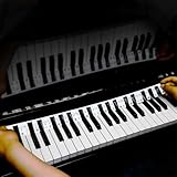 Calcomanías coloridas extraíbles para teclas de piano, calcomanías reutilizables de silicona para teclado de piano para principiantes. Viene