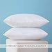 MIULEE Set of 2 Throw Pillow Inserts Premium Pillow Stuffer Square Form for Decorative Cushion Bed Couch Sofa 14x22 Inch