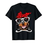 Divertido para golosinas libros de entrenamiento bolsa de mano perros niños niñas escuela verde granate niños pequeños perro papá alegría nope pantalones cortos amantes púrpura arnés Rottweiler regalos ropa cara comida animal peluche chaleco salvavidas bozal juguetes para cachorros