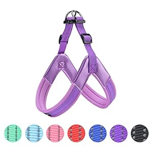 EXCELLENT ELITE SPANKER No Pull Dog Harness Step-in Adjustable Reflective Vest Soft Padded Easy Pet Chest Strap with Leash Clips for Small Medium Large Dogs Walking Training(Purple-M)
