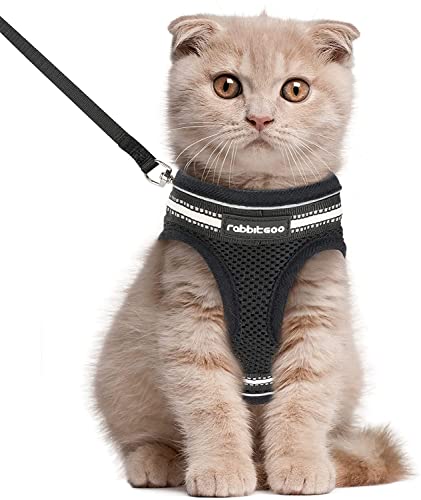 rabbitgoo Arnes Gatos y Correa 150cm Chaleco Ajustable Antitirones Reflectante Cómodo Correa Mágica para Fácil de Poner y Quitar para Paseo Diario Arnes para Perro Pequeño Conejos Gatos L Negro Cover