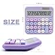 Lila Standardrechner - 12-stellig mit großem LCD-Display und großen Tasten, perfekt für Büro, Schule, Zuhause und Geschäft