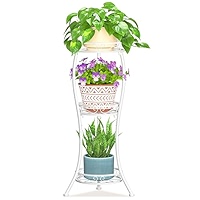 LASZOLA Support De Plantes En Métal à 3 Niveaux Pour Intérieur Et