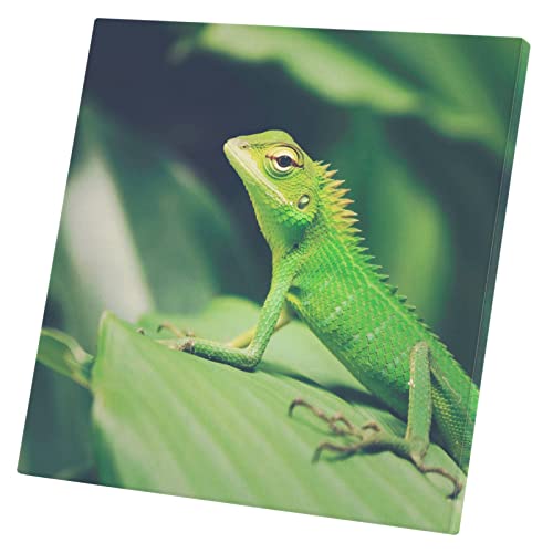 Tableau Lézard Vert de Bornéo Toile Imprimée 60x60 cm Affiche Reptile Asie