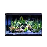 Swell Premium Tropical Aquarium Kit, 57L, Ultra-Clear Glass, LED Lighting, 60 x 30 x 37cm