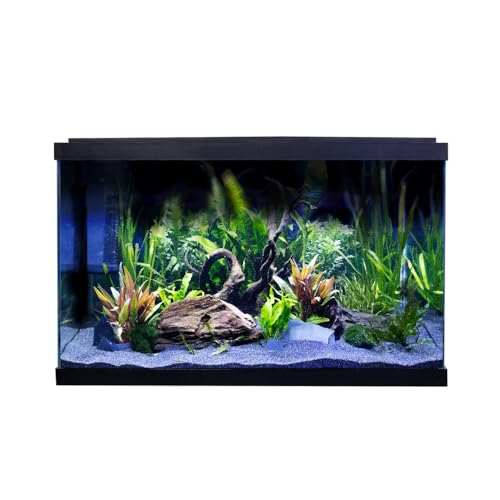 Swell Premium Tropical Aquarium Kit, 57L, Ultra-Clear Glass, LED Lighting, 60 x 30 x 37cm