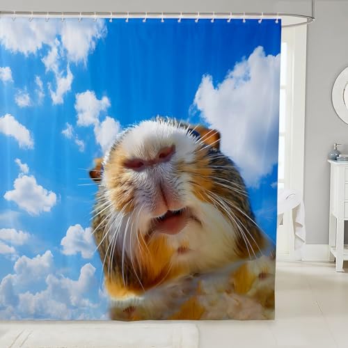 Image of Feelyou Cute Cavy Guinea Pig Shower Curtain for Bathroom Stalls and Bathtubs Cartoon Lovely Pet Bath Curtain Room Decor - Animal Theme Blue Sky Waterproof 72x72 Inch