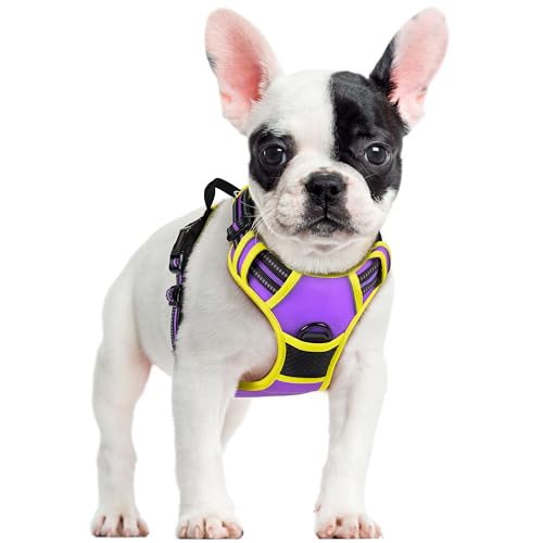 Image of rabbitgoo Dog Harness No Pull with 2 Leash Clips, Adjustable Soft Padded, Reflective Oxford No Choke Pet Vest with Easy Control Handle for Small Dogs, Purple & Yellow, S