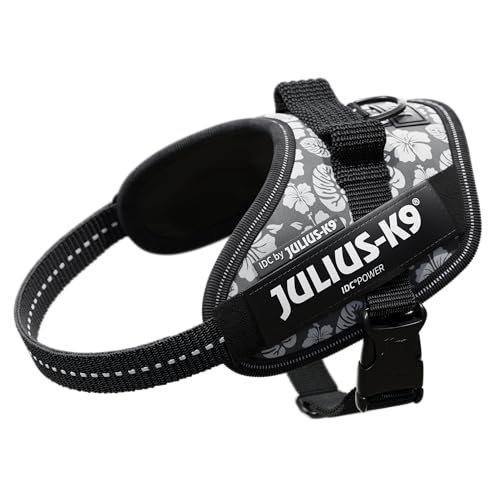 IDCp[n[lX, TCY: XS/~j~j, AnOC