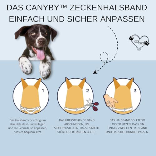 CANYBY Zecken- & Flohhalsband für Katzen und Hunde – Natürlicher Schutz bis zu 8 Monate – Wasserdicht, Verstellbar & mit 100% natürlichen Inhaltsstoffen