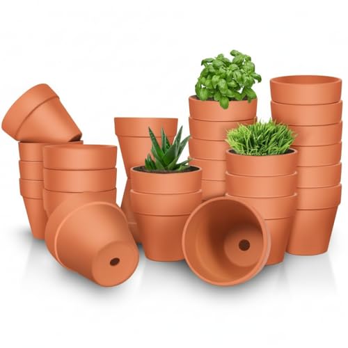 3 inch Terracotta Clay Pots 26 Pack Clay Flower Pots with Drainage Flower Garden Terracotta Pots for Indoor Outdoor Plant Crafts Wedding Favor