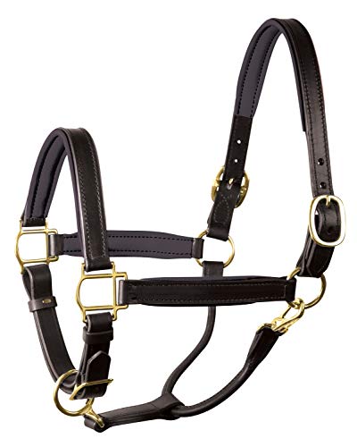 Perri's Horse Soft Padded Leather Halter